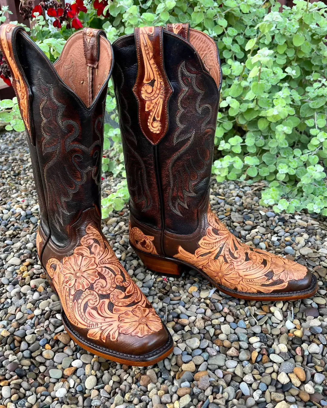 Black Jack Women's Brushed Off Brown Narrow Toe Cowgirl Boot HTP209-V4