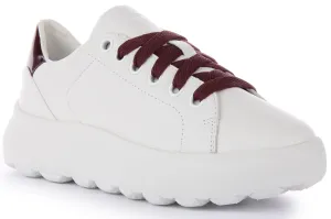 Geox Spherica Ec4.1 In White For Women